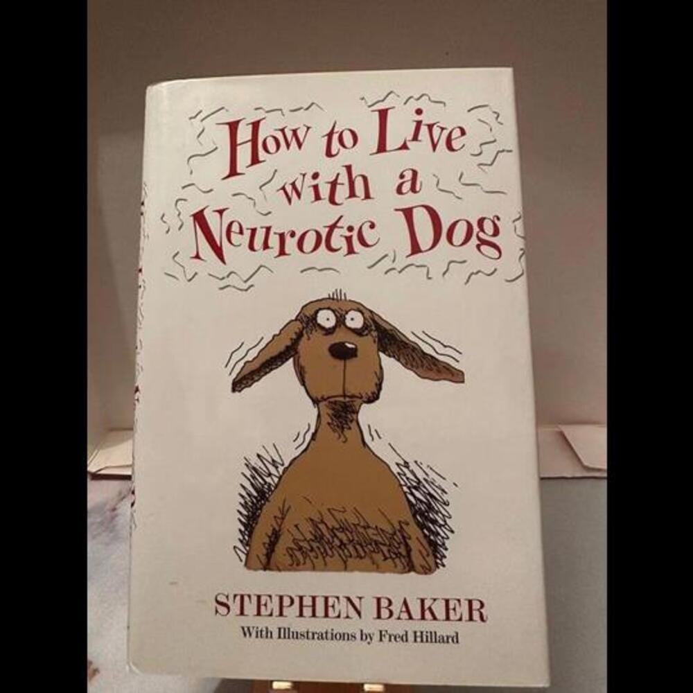 How to live with a neurotic dog